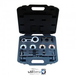 Conjunto de reglaje para motores Rover
