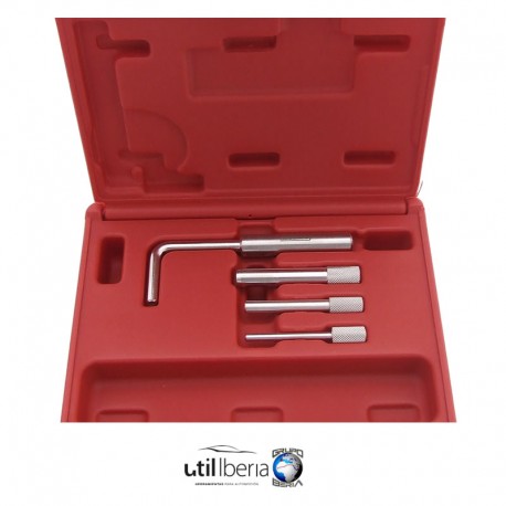 Pasadores reglaje Ford-Peugeot-Citroen-Mazda-Volvo-Suzuki-Toyota